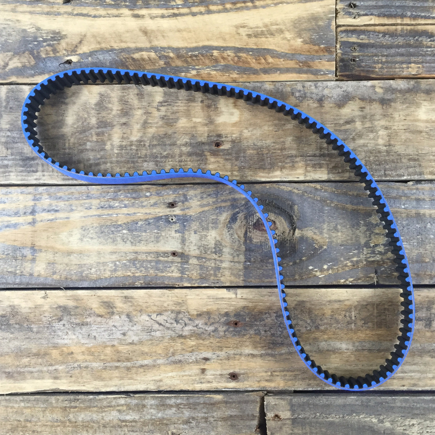 Gates Racing Timing Belt M20 Timing Belt BMW Racing — Condor Speed Shop